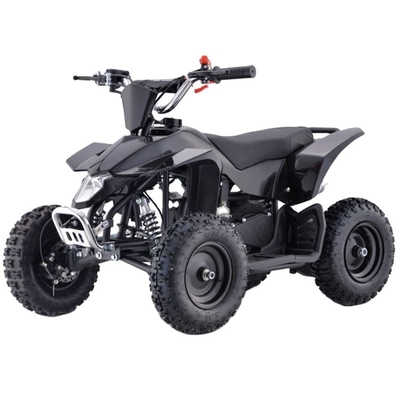Electric Sports Vehicles ATV 2WD Driving Type Charge Time h 3-5h for Kids and Adults