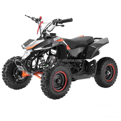 Mini Children's Electric ATV 36V 24V 350W 500W 800W 1000W for Adults in Various Colours
