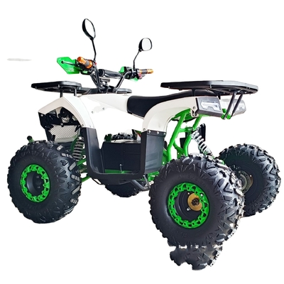 400-1000kg Loading Capacity 800W 1000W Quad Bike Electric ATV for Kids and Adults