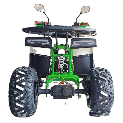 400-1000kg Loading Capacity 800W 1000W Quad Bike Electric ATV for Kids and Adults