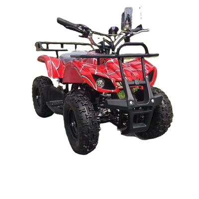 Affordable 49cc 50cc 125cc Petrol Engine 4 Wheel Quad Bikes ATV for Children and Adults