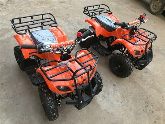 Affordable 49cc 50cc 125cc Petrol Engine 4 Wheel Quad Bikes ATV for Children and Adults