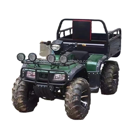 Off Road Four Wheel Motorcycle Cargo ATV UTV with and Payload Capacity of 100-200kg