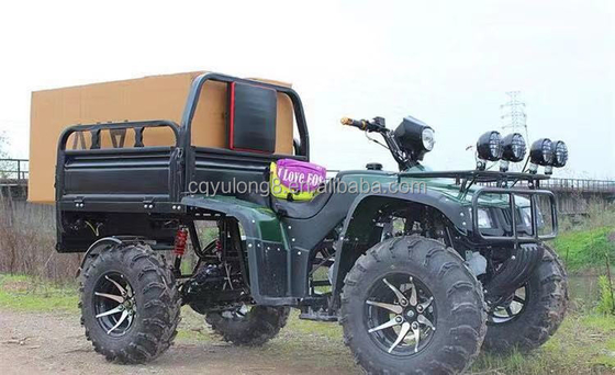 Off Road Four Wheel Motorcycle Cargo ATV UTV with and Payload Capacity of 100-200kg