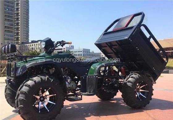 Off Road Four Wheel Motorcycle Cargo ATV UTV with and Payload Capacity of 100-200kg