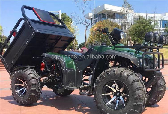 Off Road Four Wheel Motorcycle Cargo ATV UTV with and Payload Capacity of 100-200kg