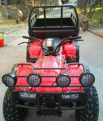 Off Road Four Wheel Motorcycle Cargo ATV UTV with and Payload Capacity of 100-200kg