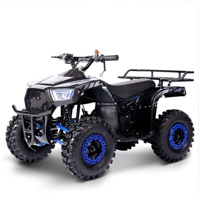 Fuel Electric Mini ATV 49cc Chain Motor Power 2WD Drive for Children's Adventure