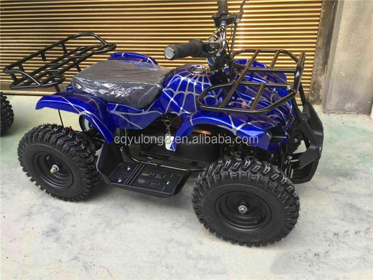 125cc Off Road ATV Quad Bike with Customizable Design and ≤10L Fuel Tank Capacity