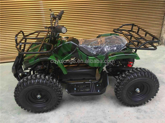 125cc Off Road ATV Quad Bike with Customizable Design and ≤10L Fuel Tank Capacity