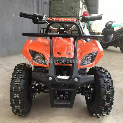 125cc Off Road ATV Quad Bike with Customizable Design and ≤10L Fuel Tank Capacity