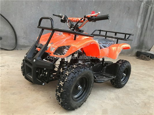 125cc Off Road ATV Quad Bike with Customizable Design and ≤10L Fuel Tank Capacity
