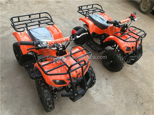 Beginner-Friendly 49cc Adult Electric and Pull Start ATV Quad Bike Kids MINI ATV