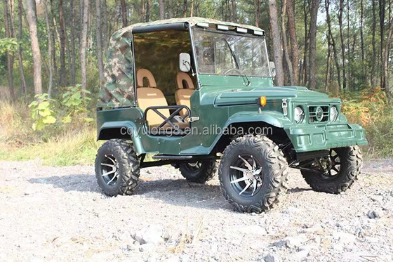 2 Seats for Adults 200cc 300cc Shaft Transmission System 2WD Four Wheeler Buggy Car UTV 4x4 Jeeps