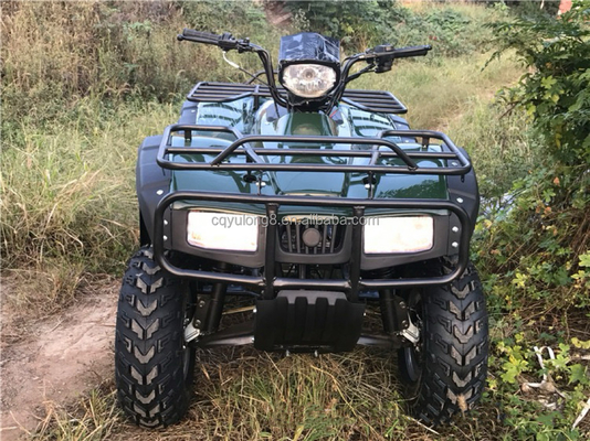 200cc 300cc 4x4 ATV UTV Off Road Four Wheeler Side by Sides Grade Ability Quad Bike