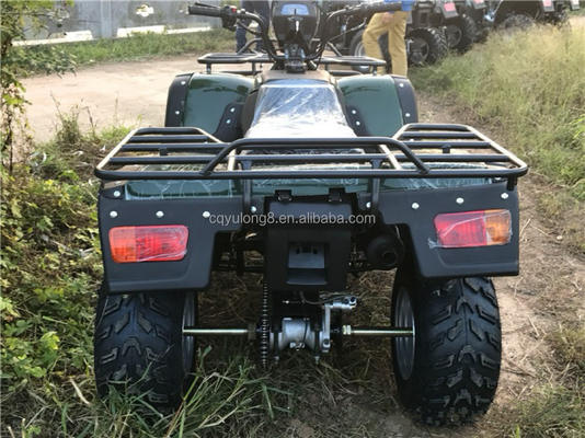 200cc 300cc 4x4 ATV UTV Off Road Four Wheeler Side by Sides Grade Ability Quad Bike