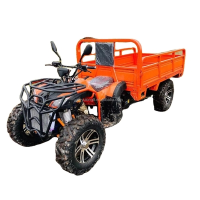 800 1000W 2 Cylinder Water-Cooled ATV 250CC 4X4 Off Road Buggy with Cargo Buckets