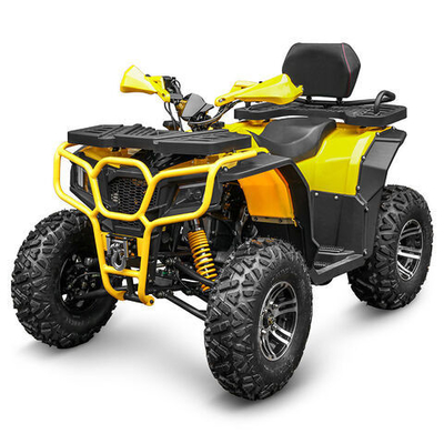 250CC Gasoline ATV Quad Bike Buggy UTV 200CC Off-Road Motorcycle with Powerful Engine