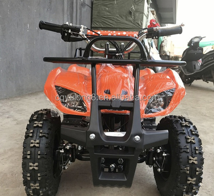Little Bull 500W 36V Electric ATV for Children's Rental on Off-Road Safari Adventure