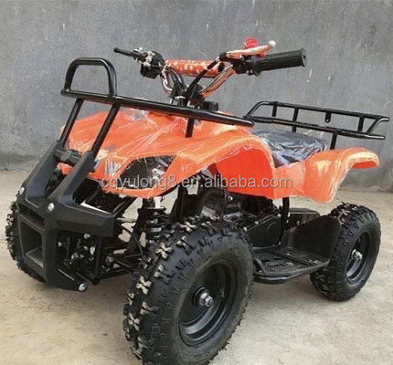 Little Bull 500W 36V Electric ATV for Children's Rental on Off-Road Safari Adventure