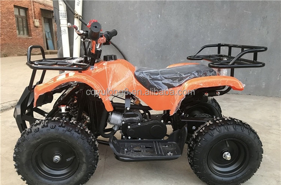 Little Bull 500W 36V Electric ATV for Children's Rental on Off-Road Safari Adventure