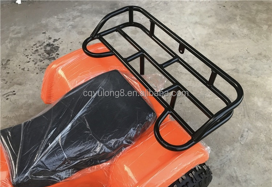 Little Bull 500W 36V Electric ATV for Children's Rental on Off-Road Safari Adventure