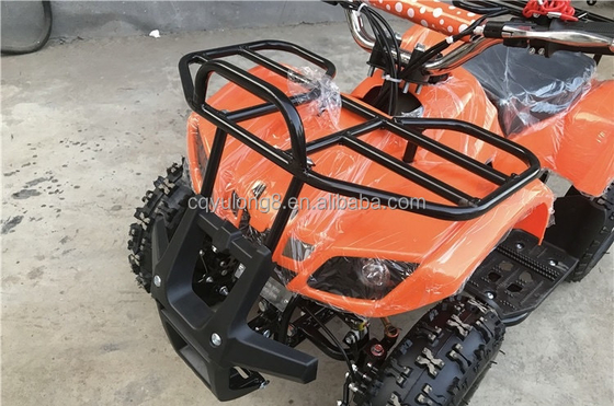 Little Bull 500W 36V Electric ATV for Children's Rental on Off-Road Safari Adventure