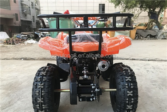 Little Bull 500W 36V Electric ATV for Children's Rental on Off-Road Safari Adventure