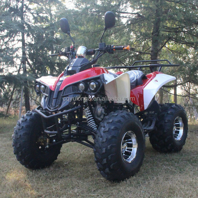 Customizable 125cc Adult All-Terrain Off-Road Vehicle with Natural Air-Cooled Engine