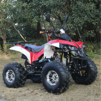 Customizable 125cc Adult All-Terrain Off-Road Vehicle with Natural Air-Cooled Engine