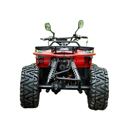 Customize Your Ride Big Bull 300cc 4*4 Adult Off-Road ATV with 300mm Ground Clearance