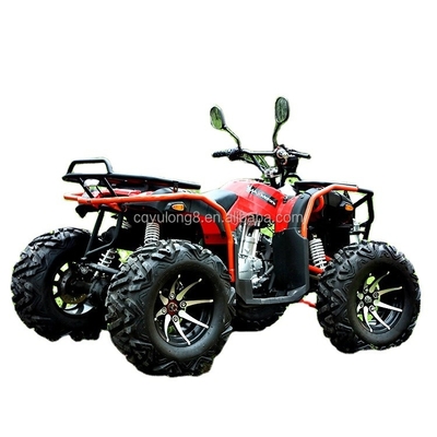 Customize Your Ride Big Bull 300cc 4*4 Adult Off-Road ATV with 300mm Ground Clearance