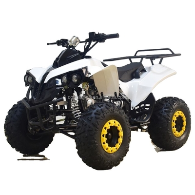 49cc 50cc 125cc Gas Powered Mini Quad Bike ATV for Kids or Adult Wheelbase 1000-1400mm