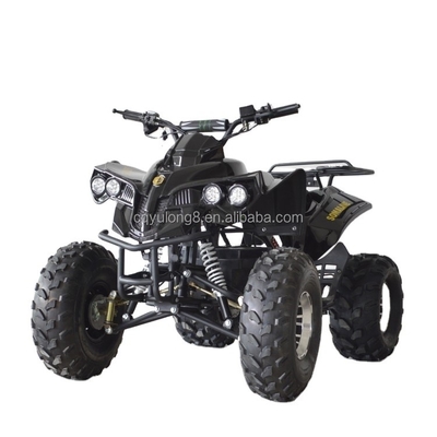 49cc 50cc 125cc Gas Powered Mini Quad Bike ATV for Kids or Adult Wheelbase 1000-1400mm