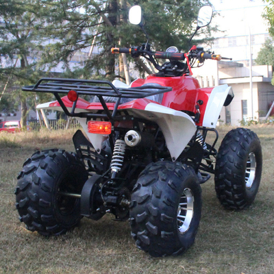 49cc 50cc 125cc Gas Powered Mini Quad Bike ATV for Kids or Adult Wheelbase 1000-1400mm