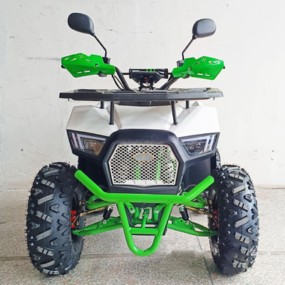 Experience the Power of Our 1000W Electric ATV 4 Wheel All Terrain Vehicle for Adults