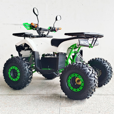 Experience the Power of Our 1000W Electric ATV 4 Wheel All Terrain Vehicle for Adults