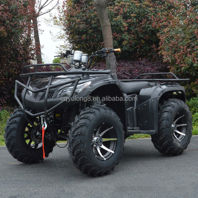 250cc Four-Stroke Four-Wheel Off-Road ATV with Chain Drive and Customization Features