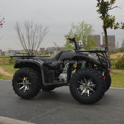 250cc Four-Stroke Four-Wheel Off-Road ATV with Chain Drive and Customization Features