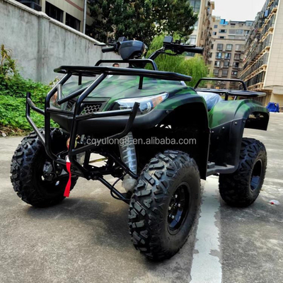 250cc Four-Stroke Four-Wheel Off-Road ATV with Chain Drive and Customization Features
