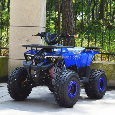 125cc/150cc Four Wheel ATV 4 Stroke Four Wheeler for Sport Driving Type 4WD