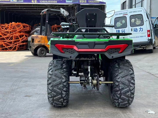 Chain Drive 300cc Outdoor Sport Game Electric Quad Bike Adult ATV 4x4